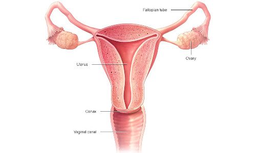 Cervical Cancer