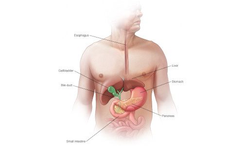 Pancreatic Cancer