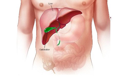 Liver Cancer