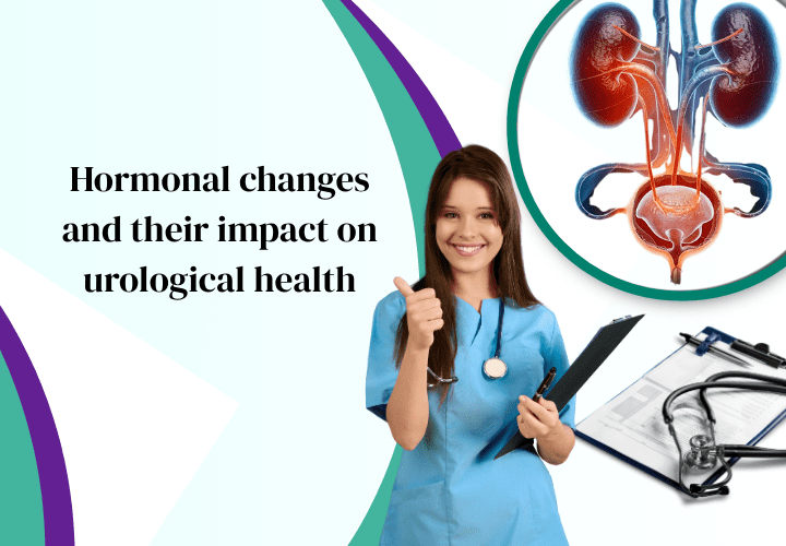 hormonal changes and their impact on urological health